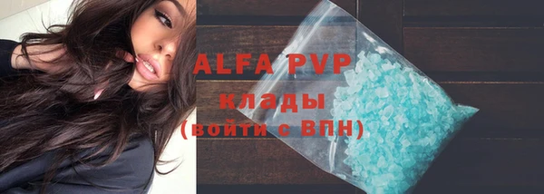 крисы Осташков