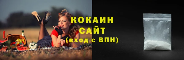 крисы Осташков