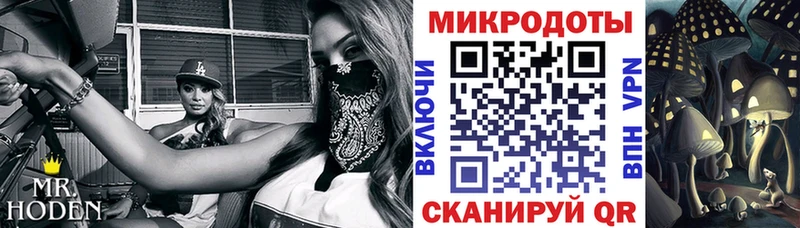 Галлюциногенные грибы Psilocybe Остров